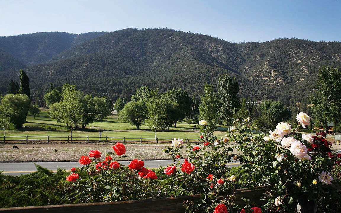 Photo of Others in Pine Mountain Club