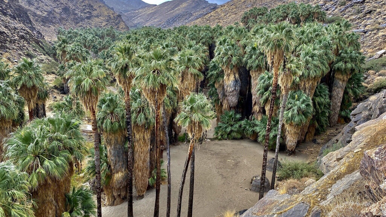 Photo of Outdoor in Indian Canyon