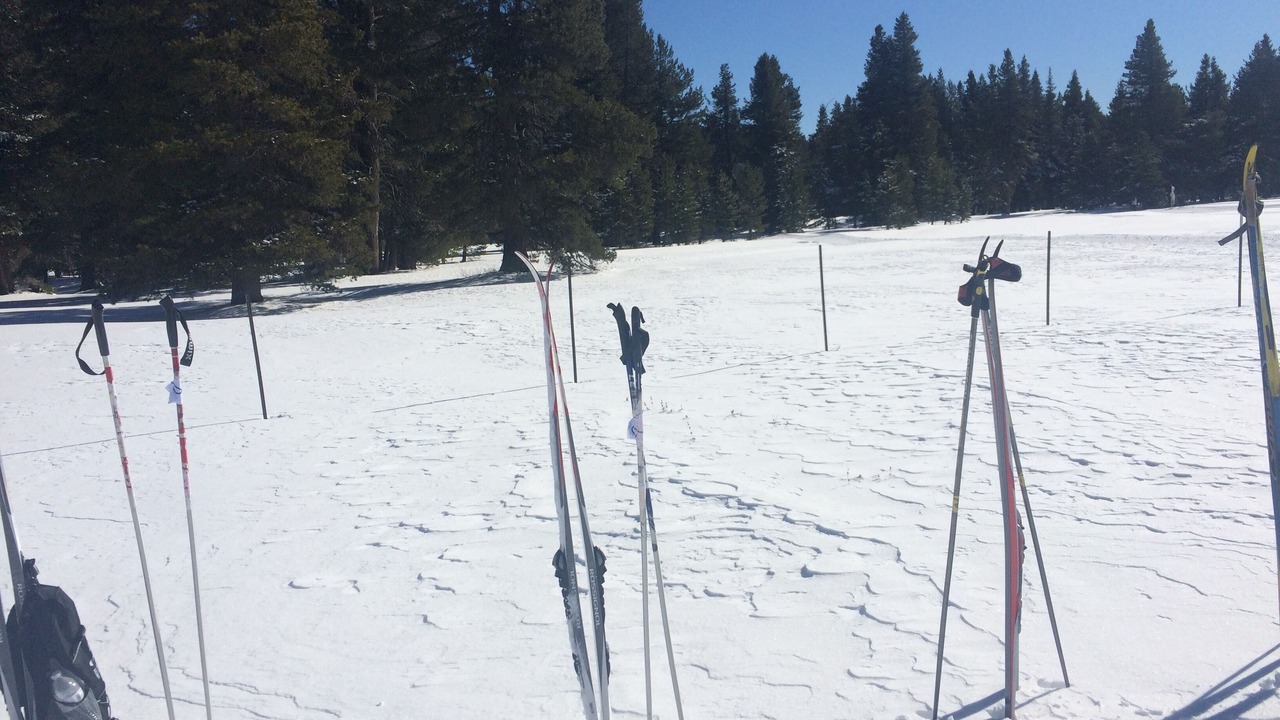 Photo of Others in Bear Valley