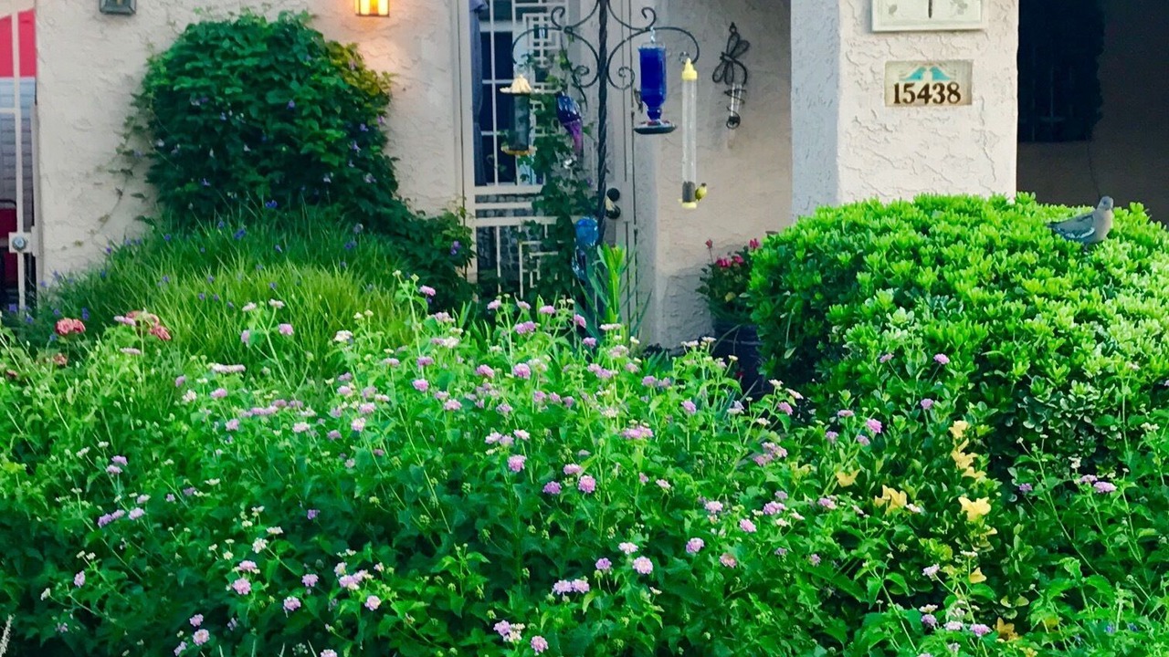 Photo of Others in Quail Hill