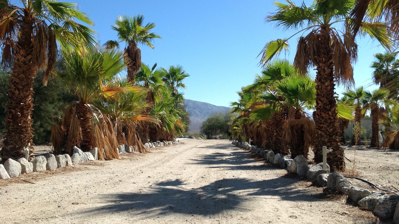 Photo of Others in Desert Hot Springs