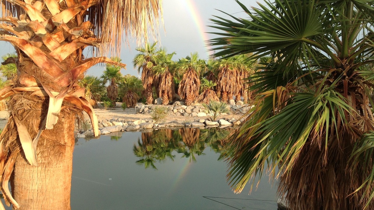 Photo of Others in Desert Hot Springs