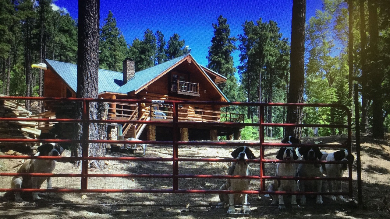 Photo of Others in Prescott