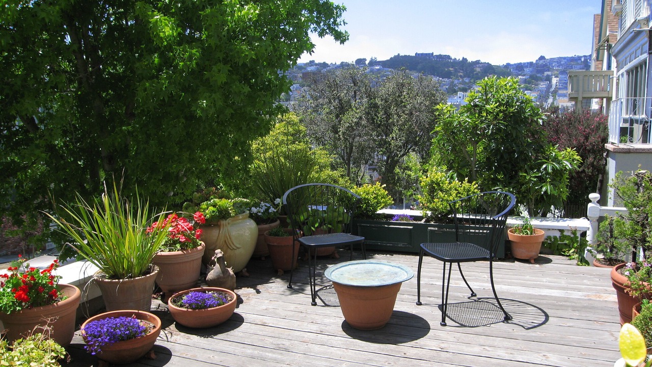 Photo of Others in Noe Valley