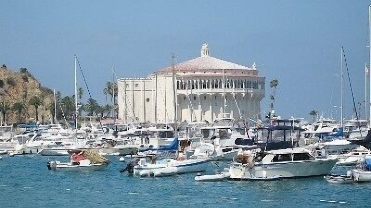 Photo of Others in Avalon