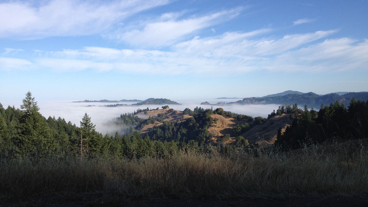 Photo of Others in Redwood Valley