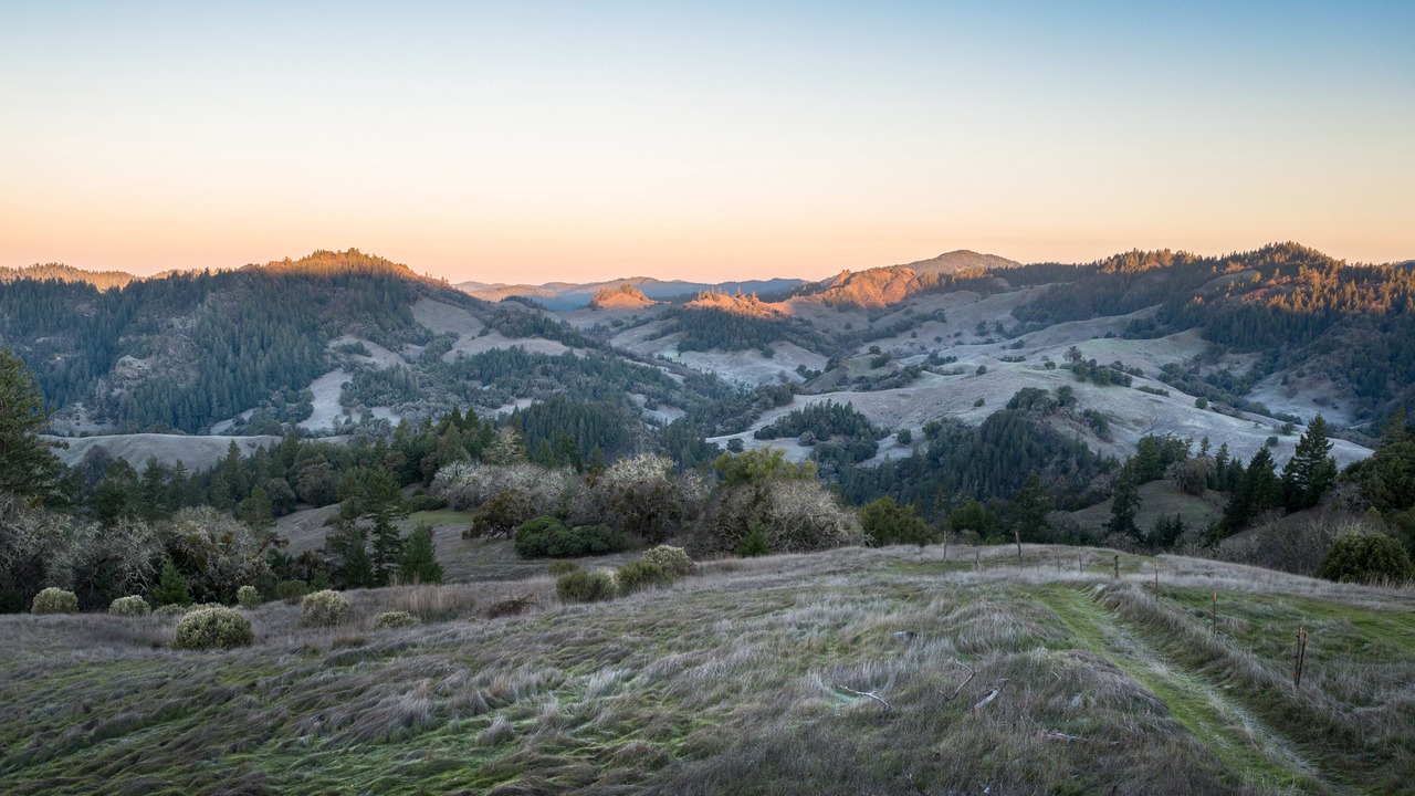 Photo of Outdoor in Redwood Valley