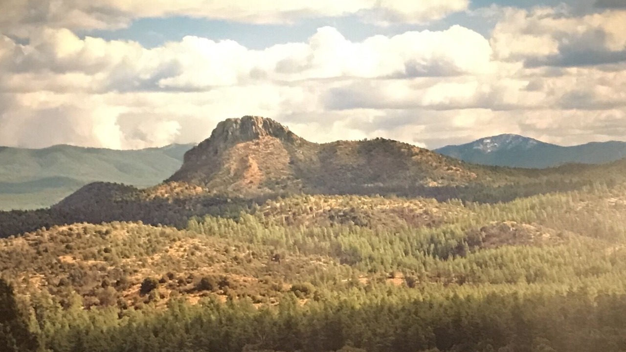 Photo of Others in Prescott