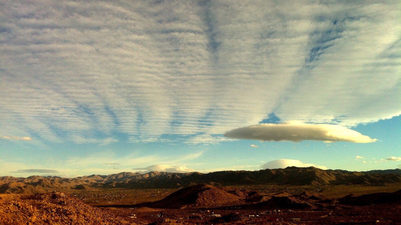 Photo of Others in Yucca Valley