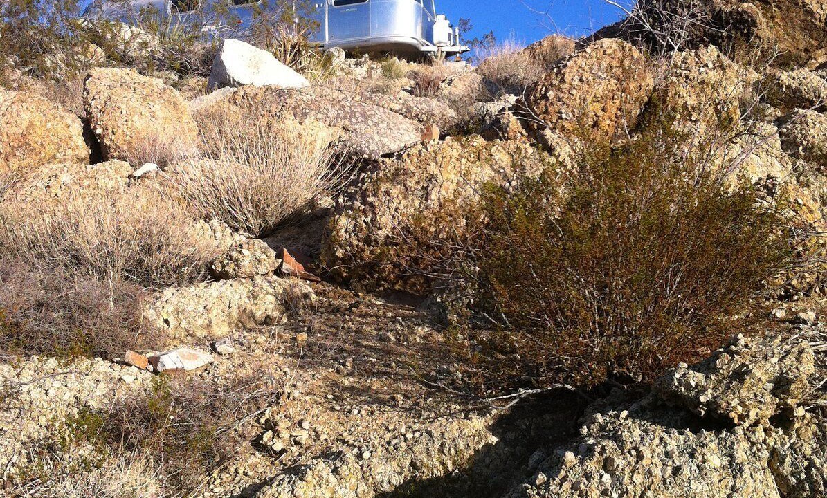 Photo of Others in Yucca Valley
