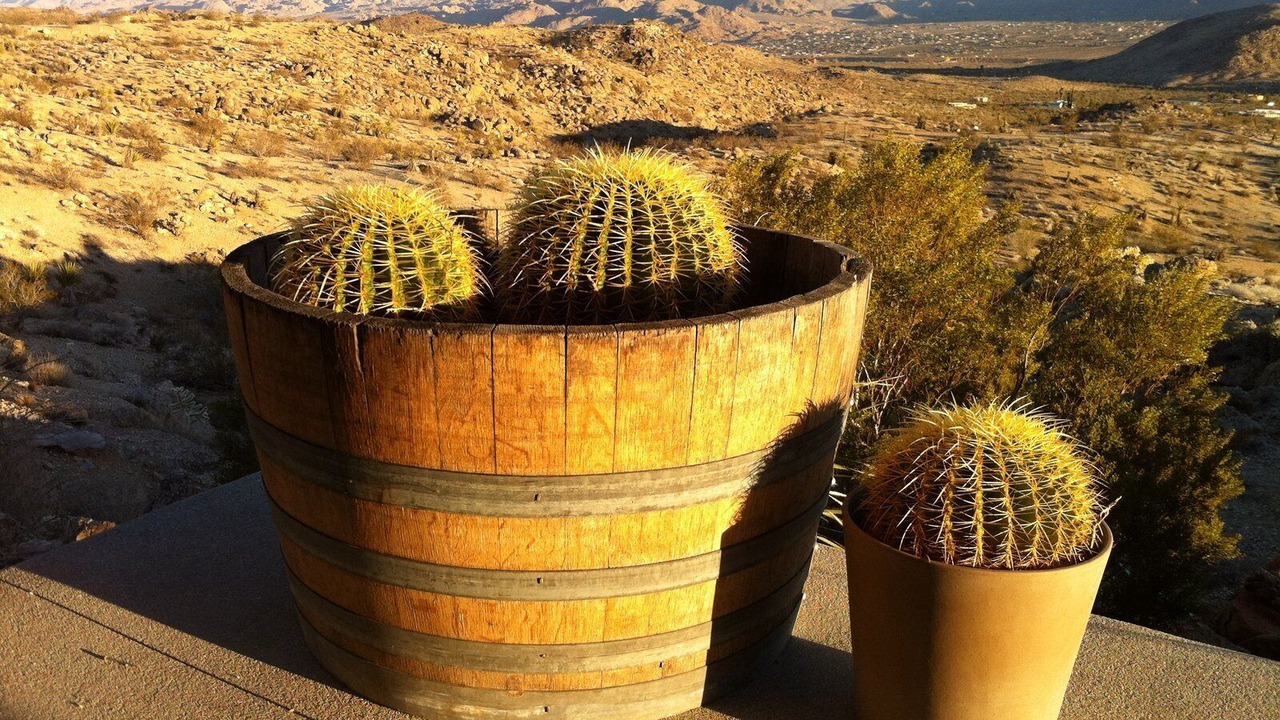 Photo of Others in Yucca Valley