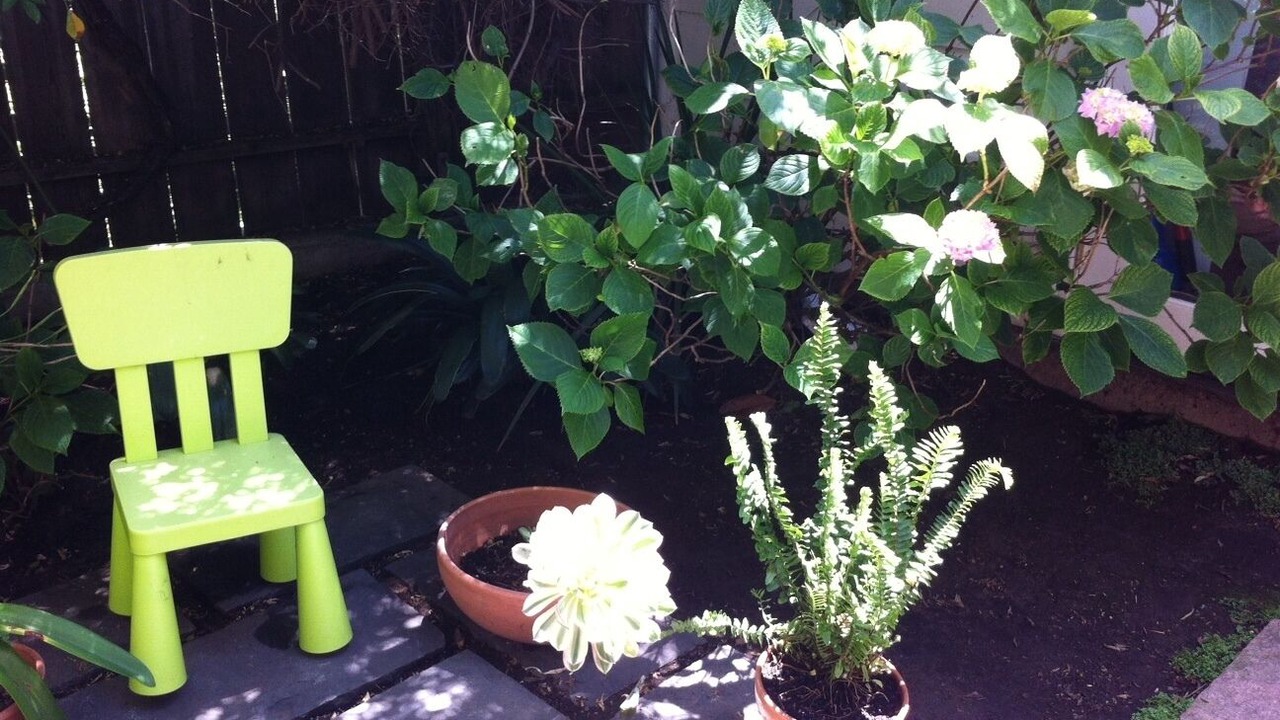 Photo of Outdoor in La Lengua