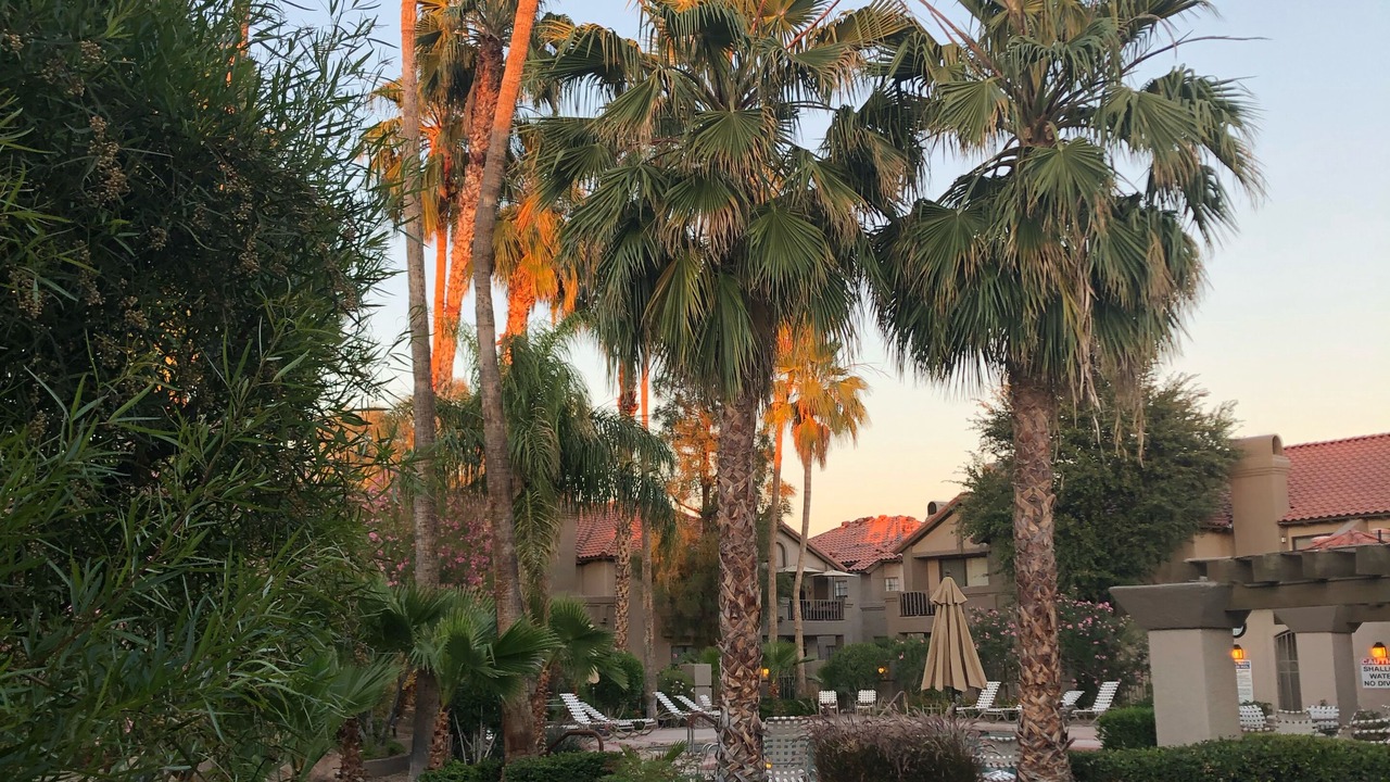 Photo of Outdoor in Scottsdale Ranch