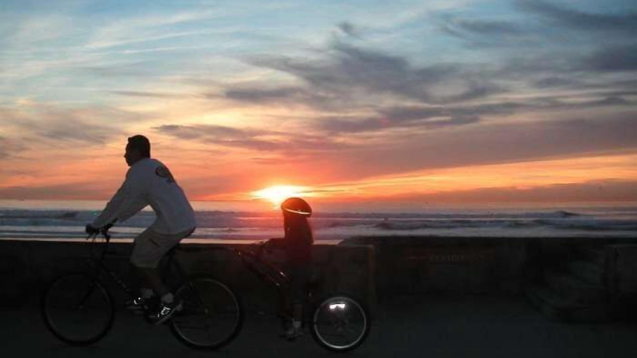 Photo of Others in Mission Beach