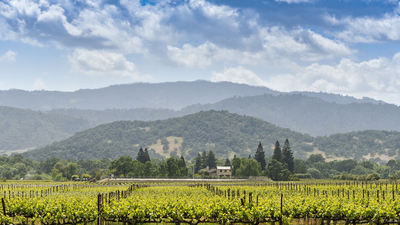 Photo of Others in Yountville