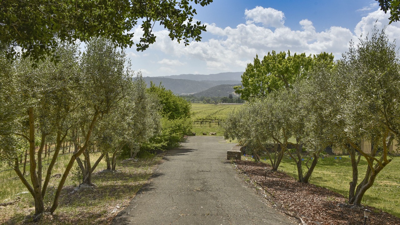 Photo of Others in Yountville
