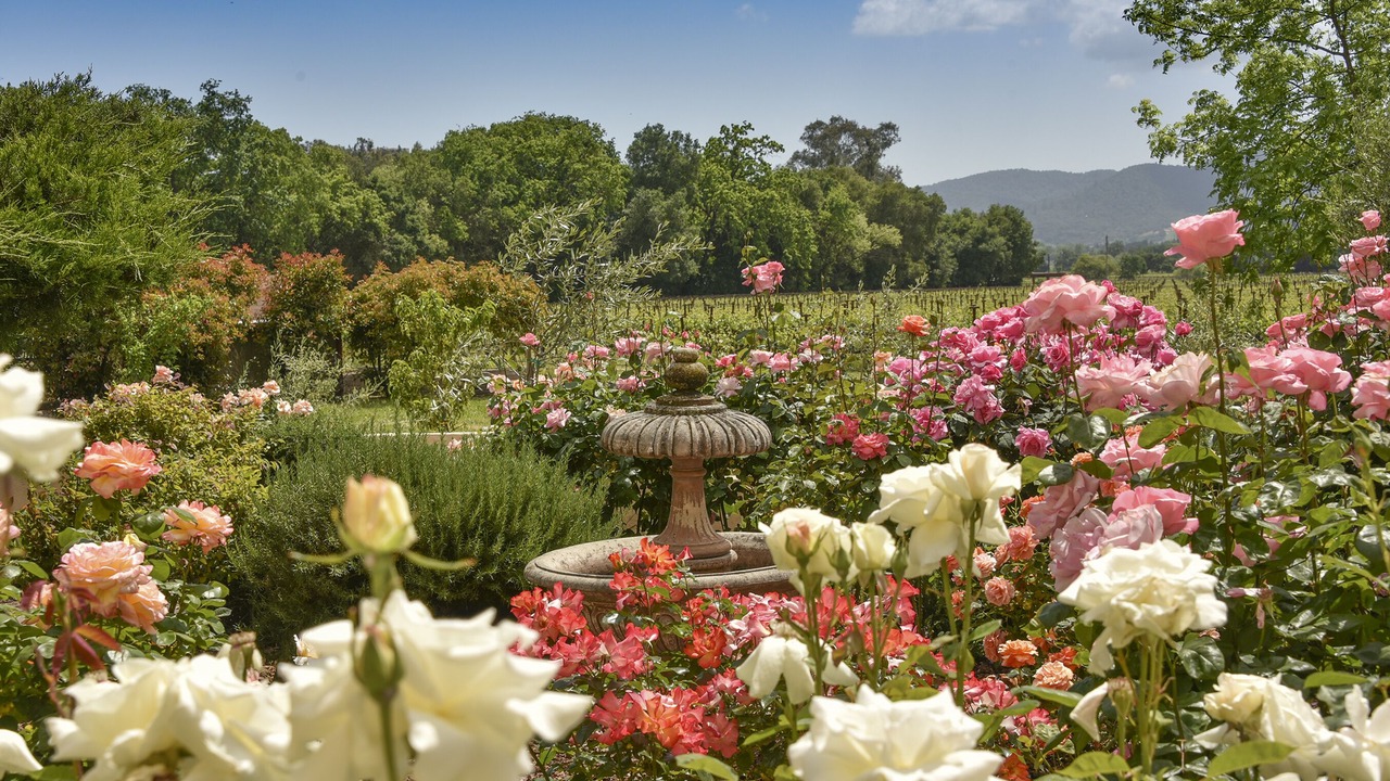 Photo of Outdoor in Yountville