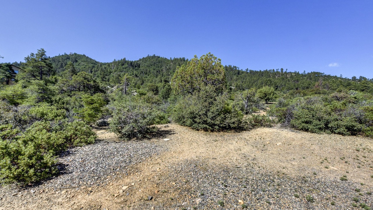 Photo of Others in Prescott