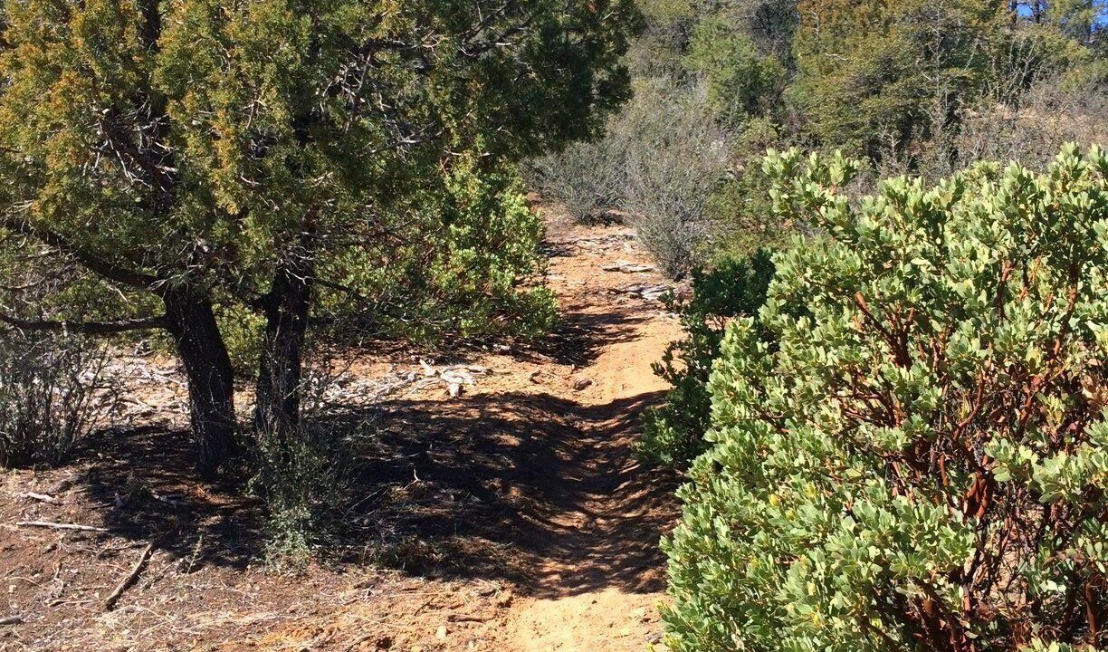 Photo of Others in Prescott
