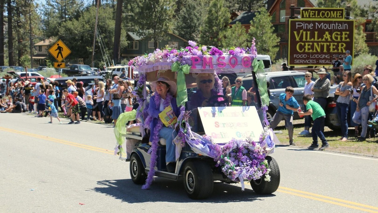 Photo of Others in Pine Mountain Club
