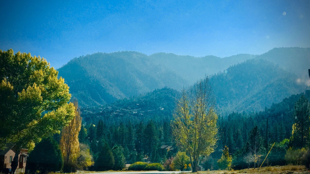 Photo of Others in Pine Mountain Club