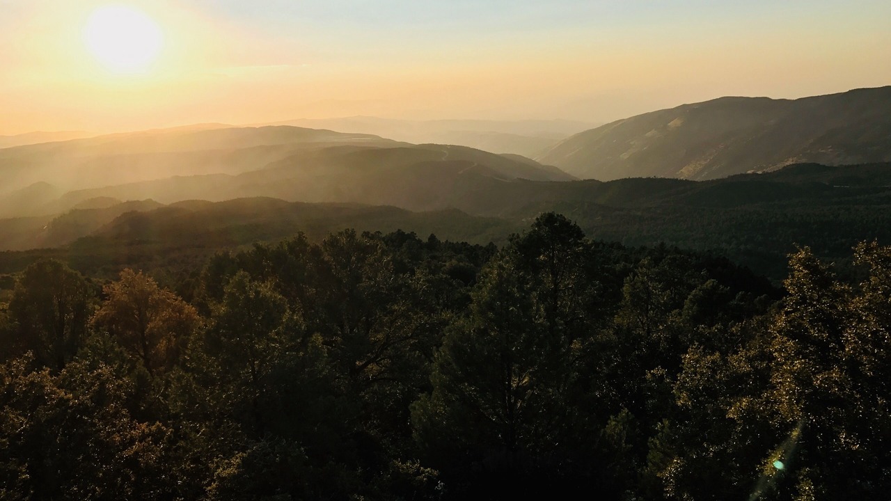 Photo of Others in Pine Mountain Club
