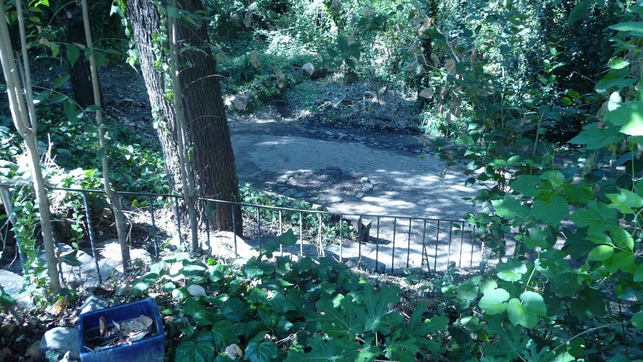 Photo of Outdoor in Arden Park Vista