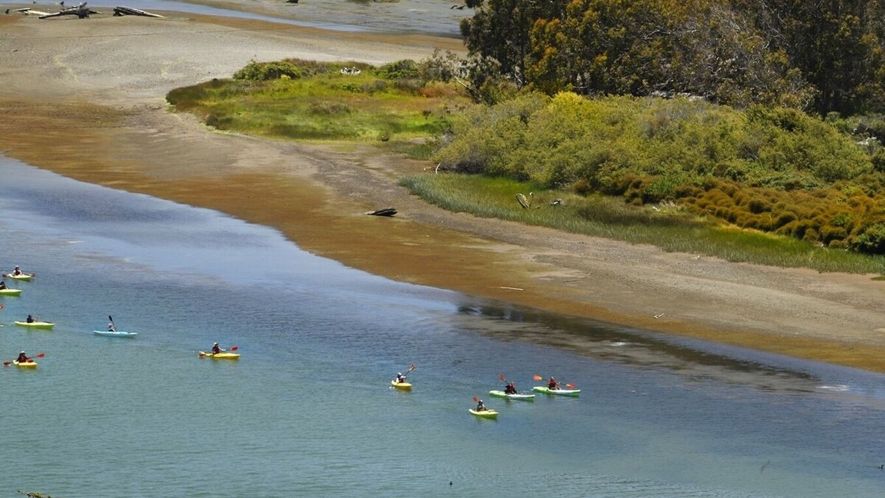 Photo of Others in Jenner