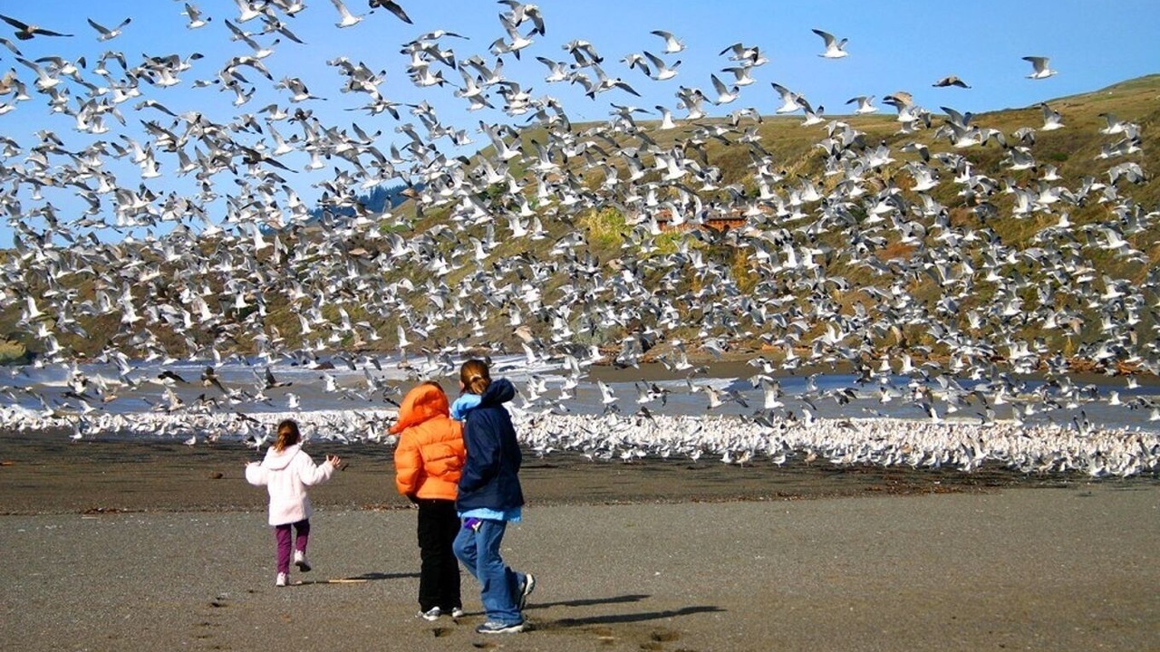 Photo of Others in Jenner