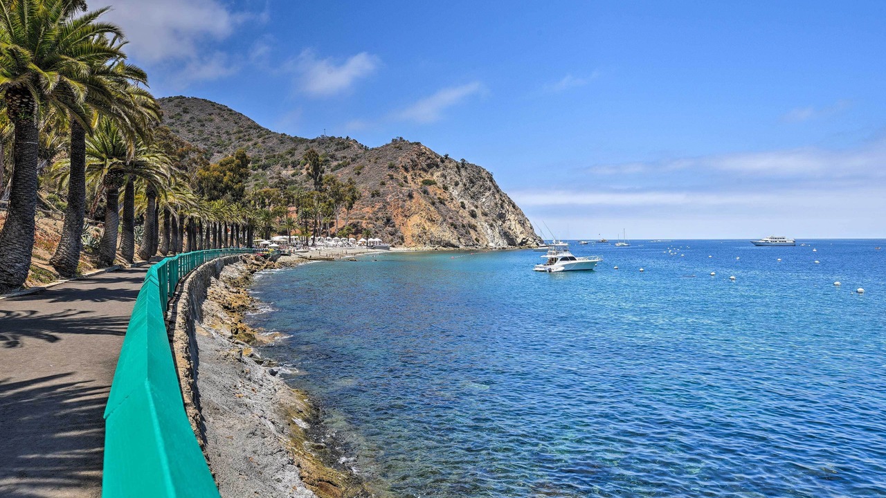 Photo of Others in Avalon