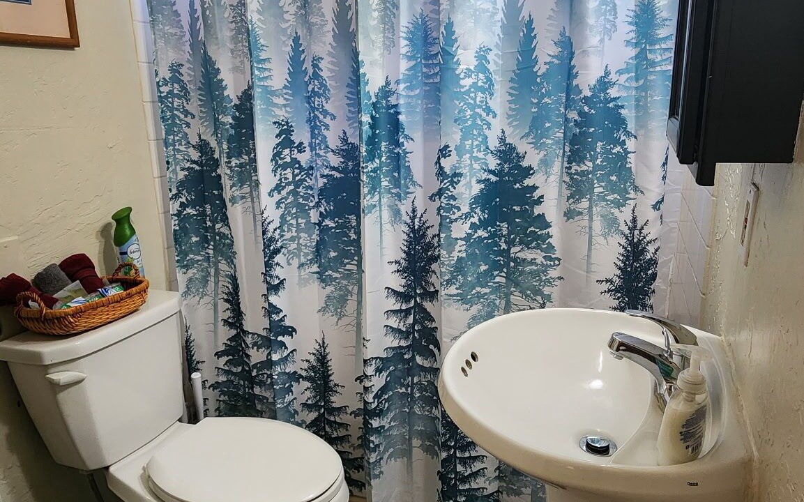 Photo of Bathroom in Idyllwild