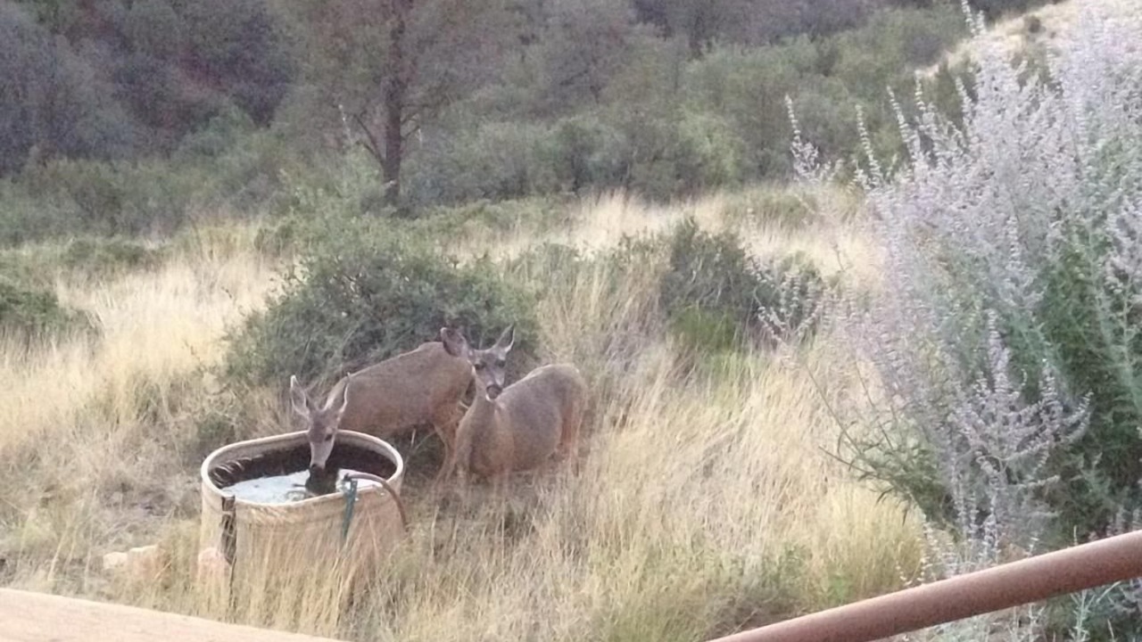 Photo of Others in Lynx Mountain View Estates