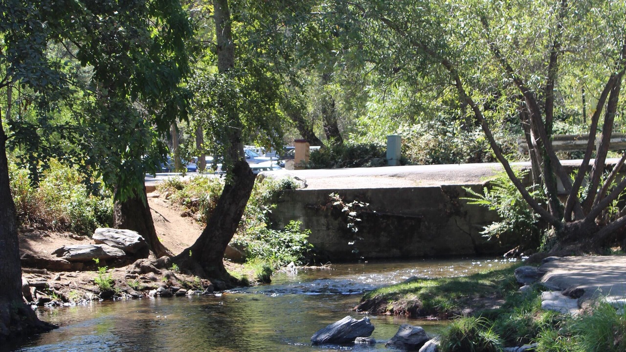 Photo of Others in Douglas Flat