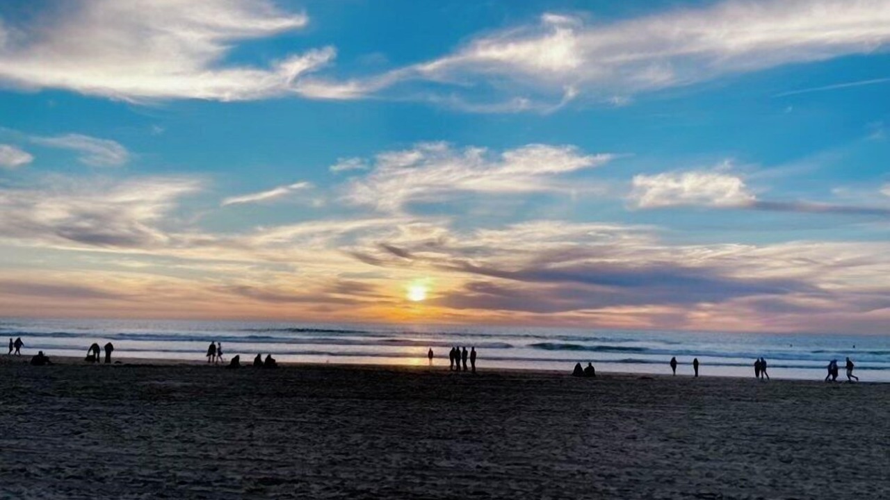 Photo of Others in Mission Beach