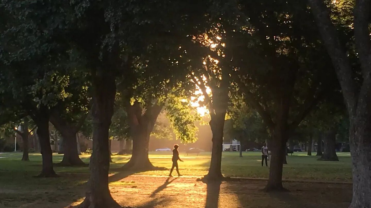 Photo of Others in Central Sacramento