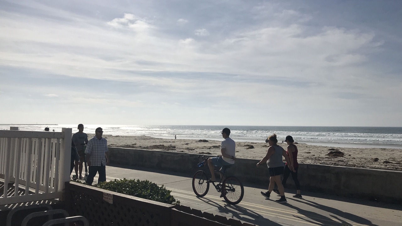 Photo of Others in Mission Beach