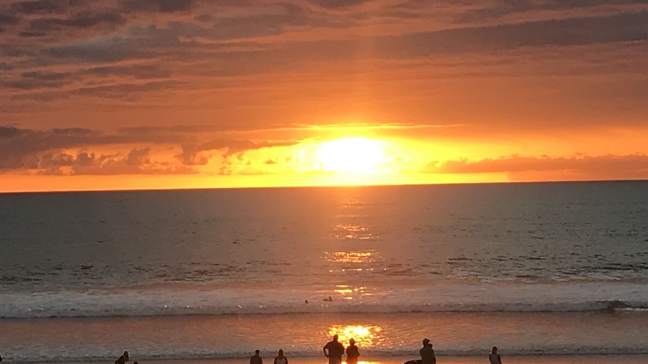 Photo of Others in Mission Beach