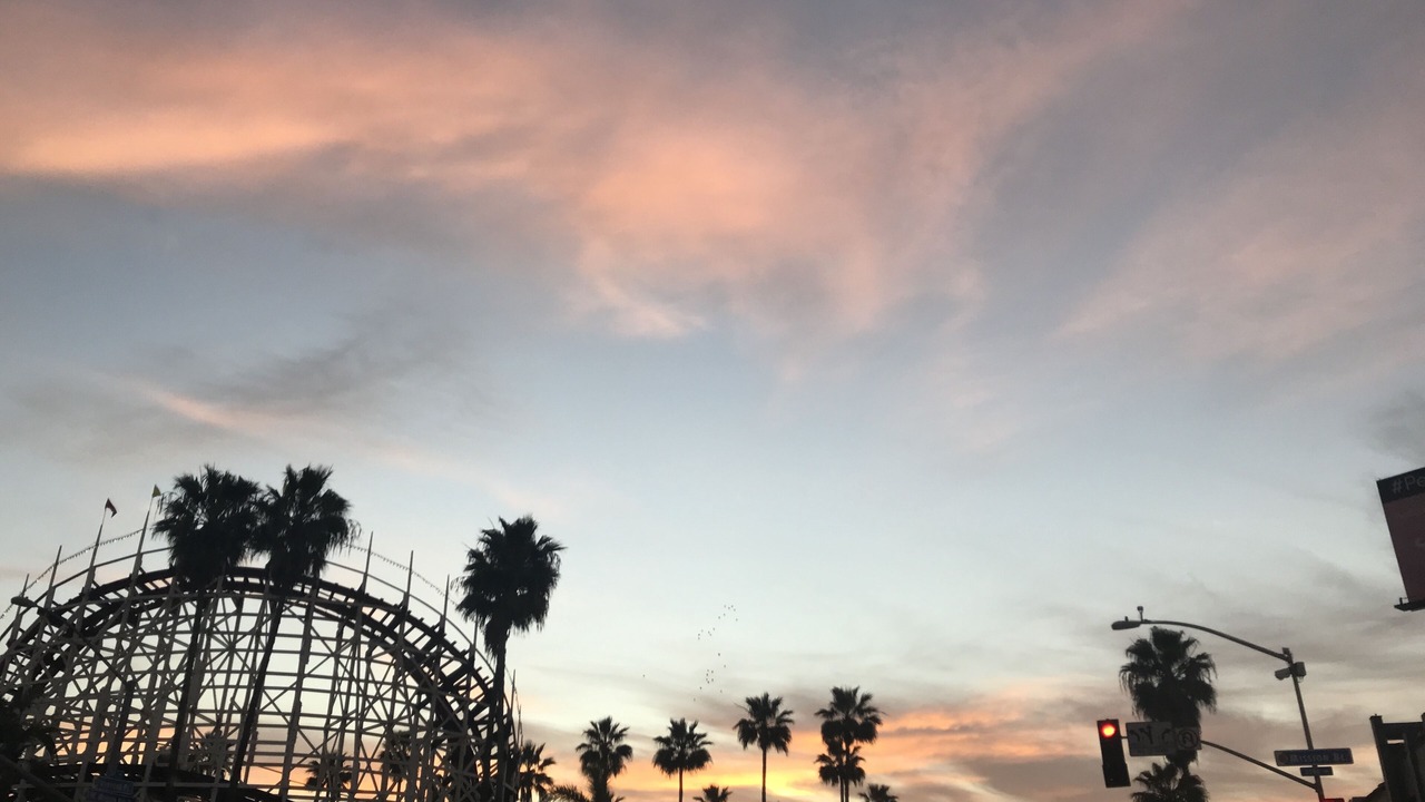 Photo of Others in Mission Beach