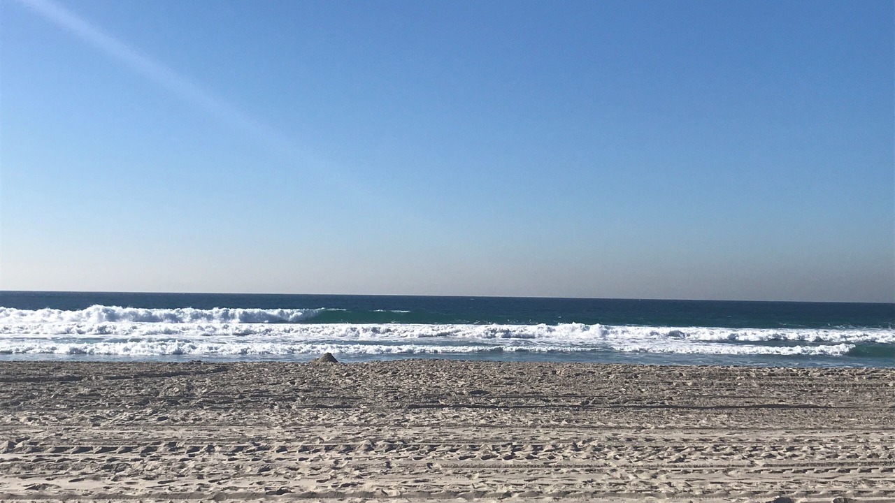 Photo of Others in Mission Beach