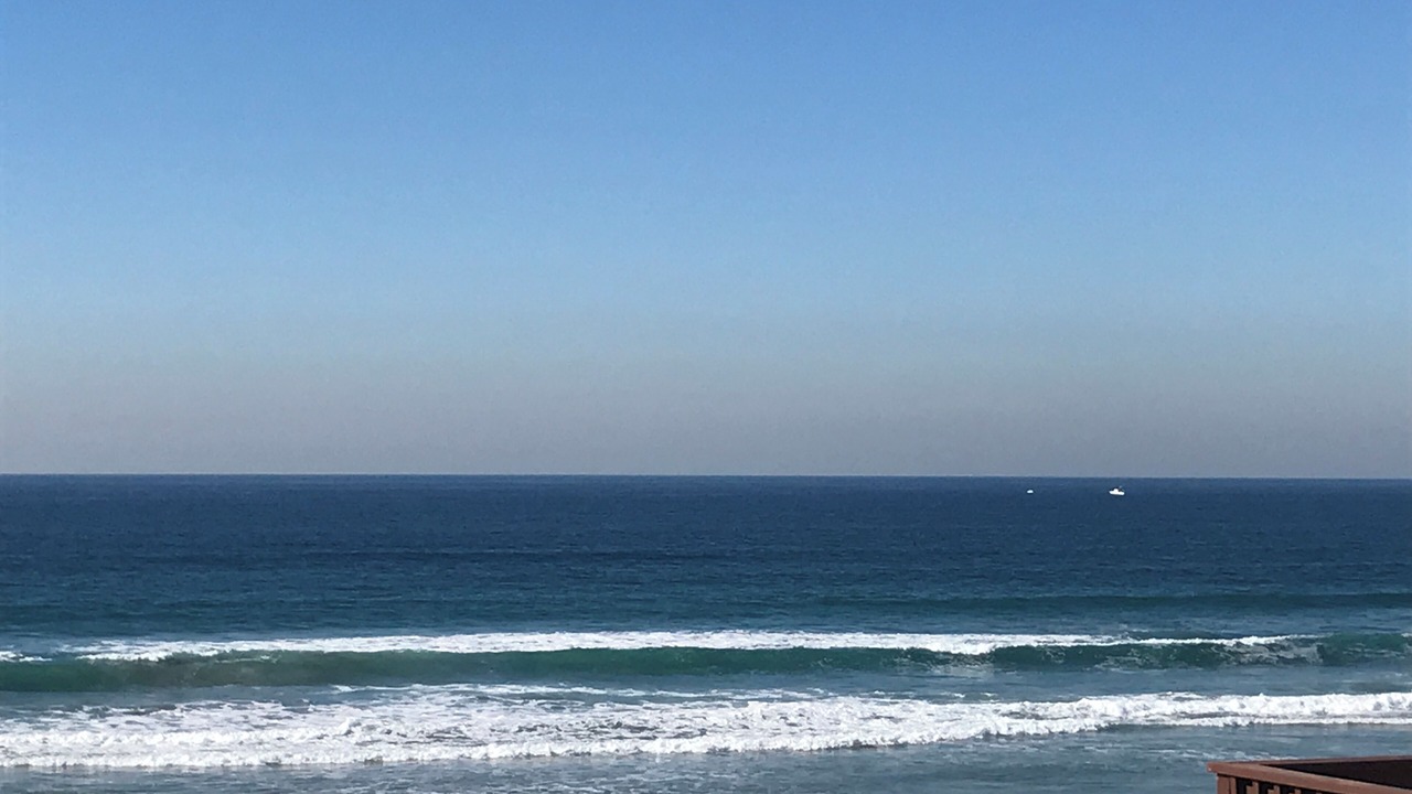 Photo of Others in Mission Beach