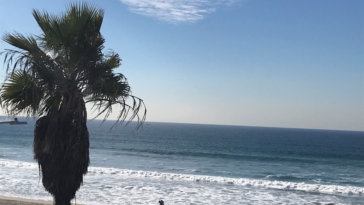 Photo of Others in Mission Beach