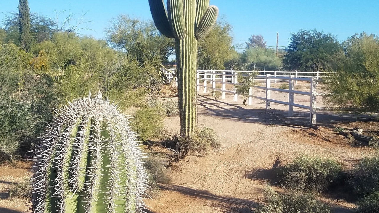 Photo of Others in Desert View Village