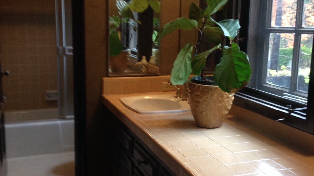 Photo of Bathroom in Palisades Highlands