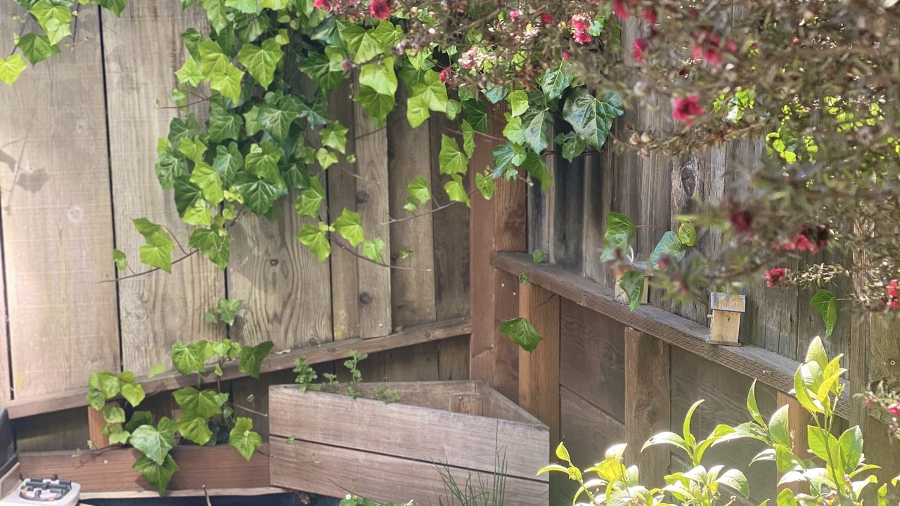 Photo of Outdoor in Golden Gate
