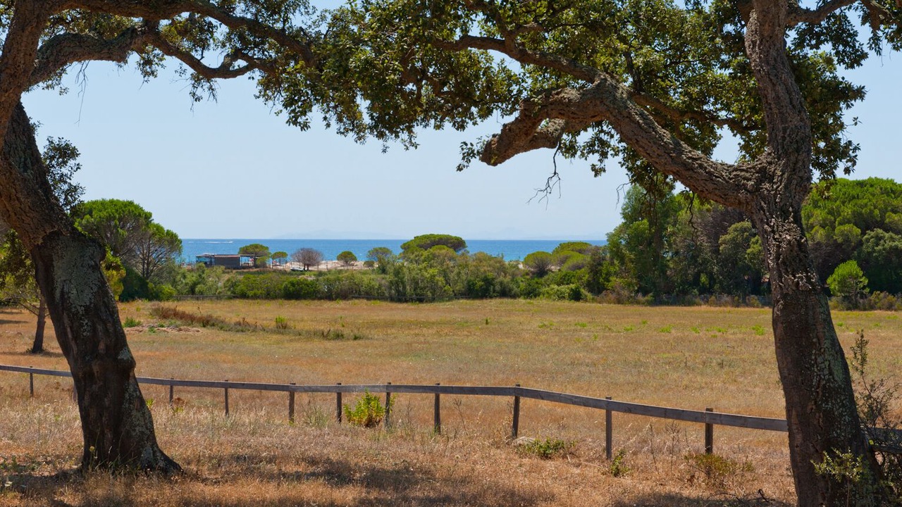 Photo of Outdoor in Hameau de Palombaggia