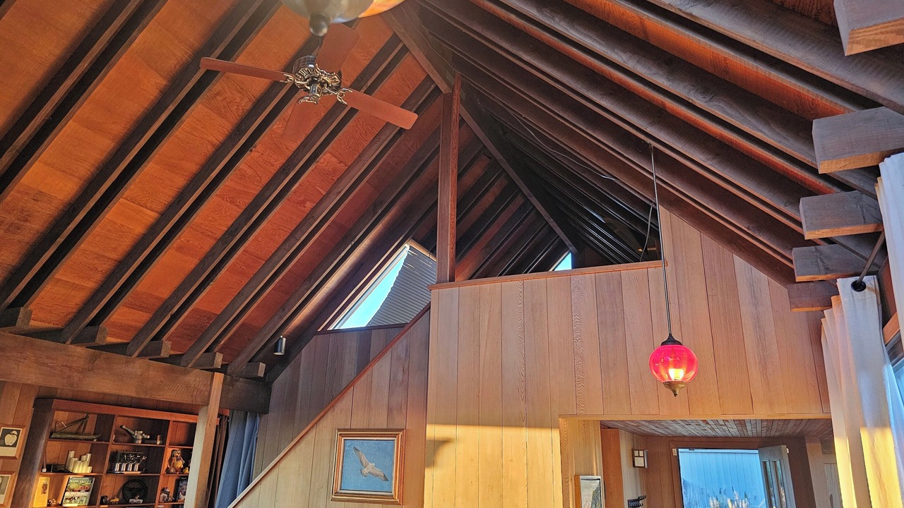 Photo of Others in Bodega Bay