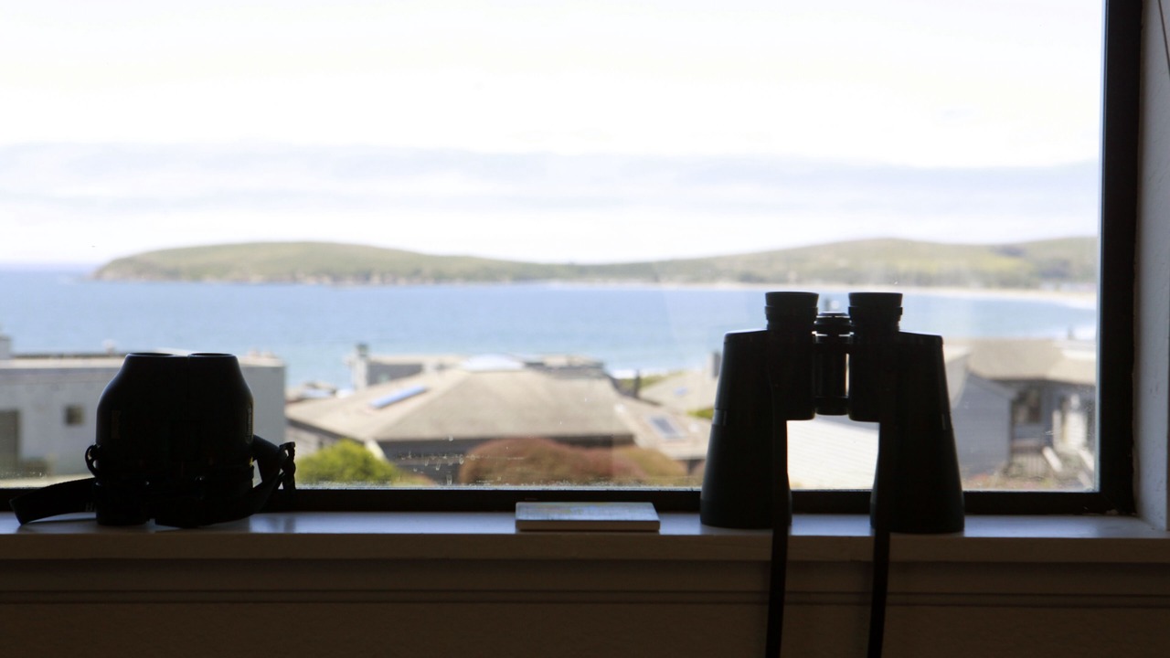 Photo of Others in Bodega Bay