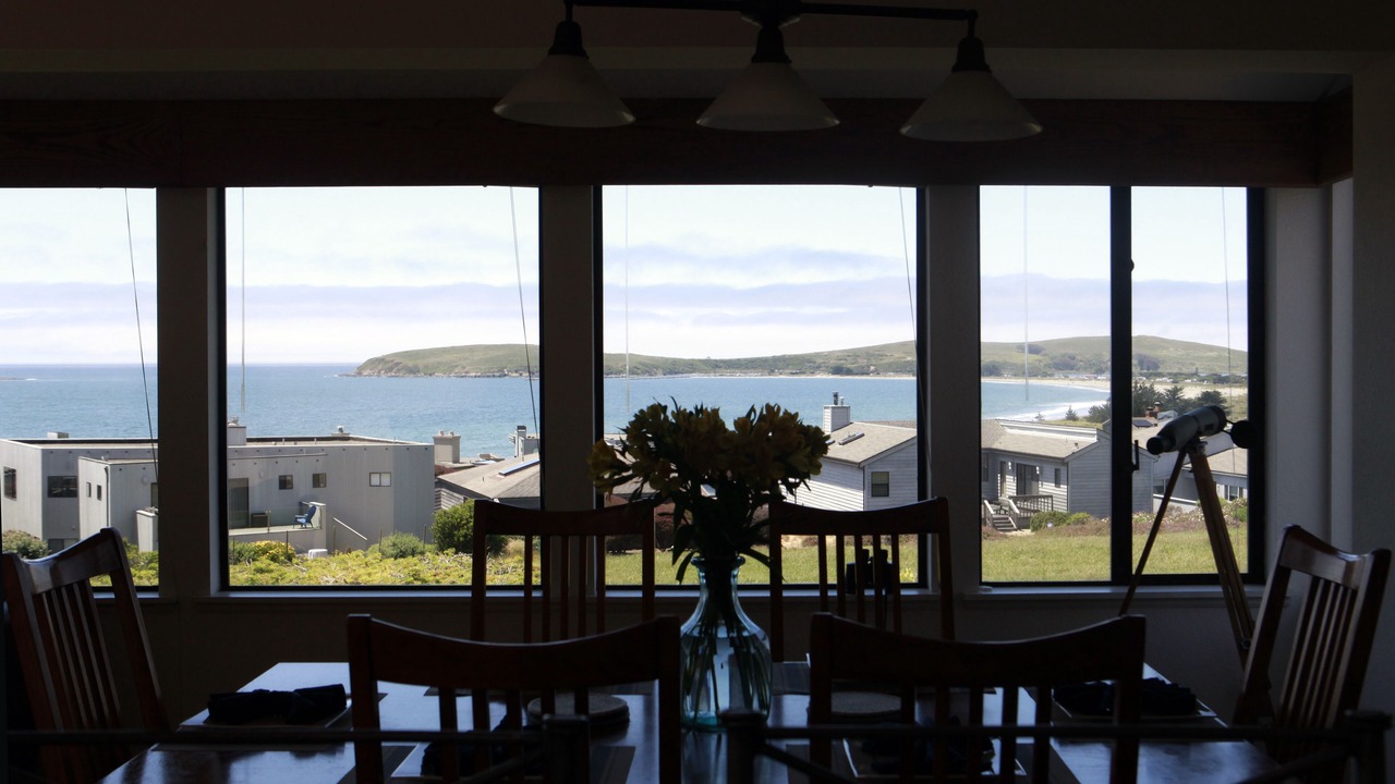 Photo of Others in Bodega Bay