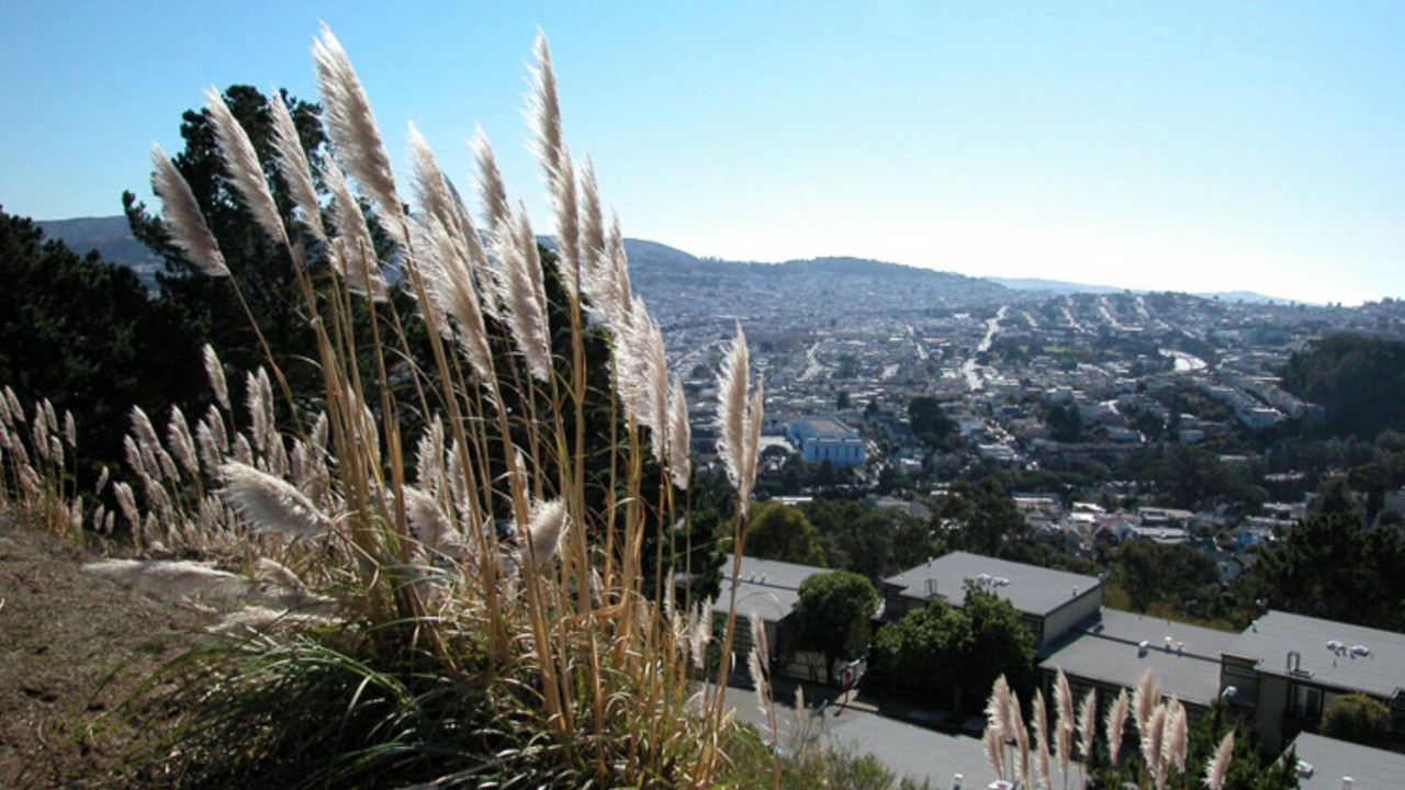 Photo of Others in Glen Park