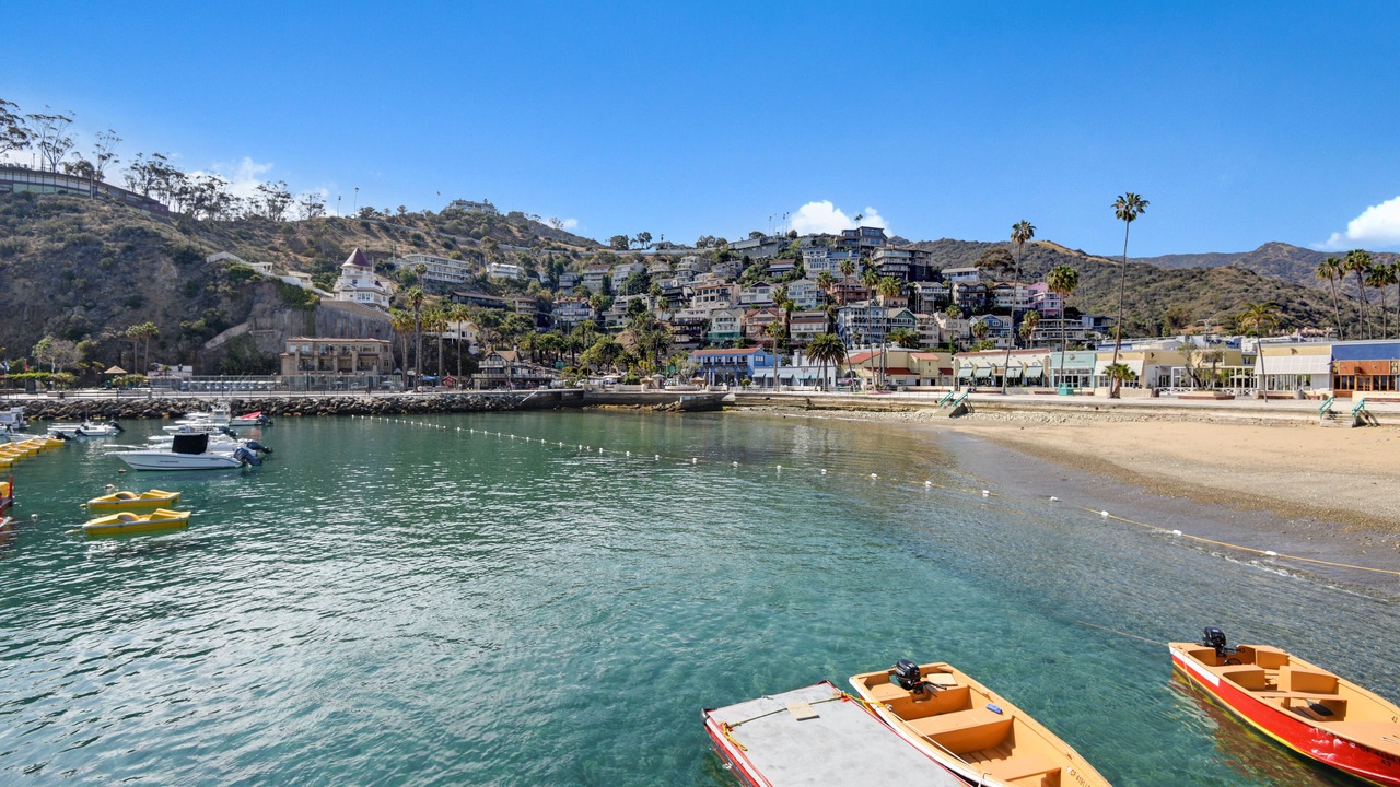 Photo of Others in Avalon